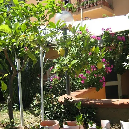 Terrazza Mimosa *