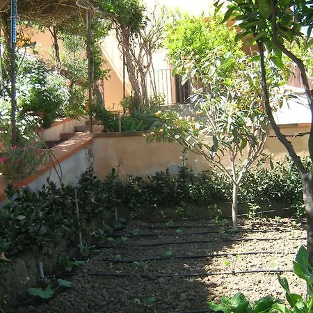 Appartamento Terrazza Mimosa *